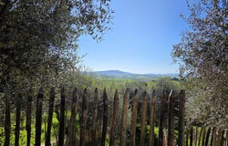 Lajatico, Tuscany 56030