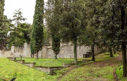 Florence, Tuscany 50139