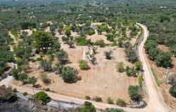 Ceglie Messapica, Apulia 72013