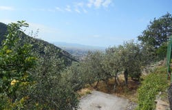 Calci, Tuscany 56011