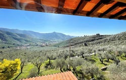 Calci, Tuscany 56011