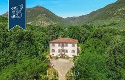 Lucca, Lucca