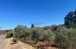Ceglie Messapica, Apulia 72013