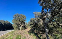 Telti, Sardinia 07020