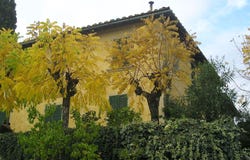 Bucine, Tuscany 52020
