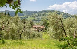 Ficulle, Terni