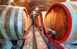 Montepulciano, Toscana|Tuscany 53045
