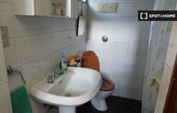 padua, Veneto 35131