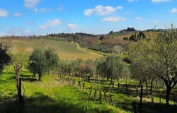 Firenze, Tuscany