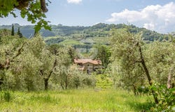 Ficulle, Umbria 05016