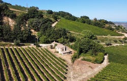 SP142, snc, Ripatransone, Marche 63065