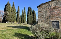 Pomarance, Tuscany 56044