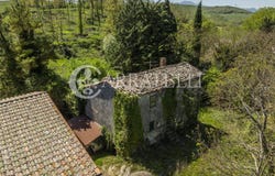 Radicofani, Tuscany 53040