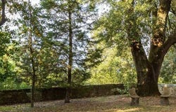 Rignano sull'Arno, Tuscany 50067