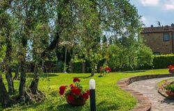 Montaione, Tuscany 50050