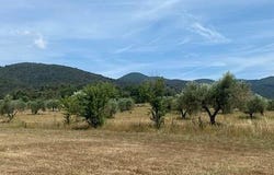 Scarlino, Tuscany 58020