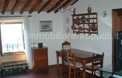 Montisi, Tuscany 53020
