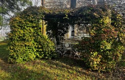 Pergola, Marche 61045