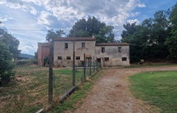 Lucignano, Tuscany 52046