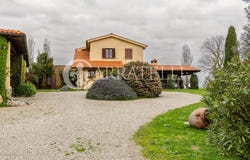Tuscania, Lazio 01017