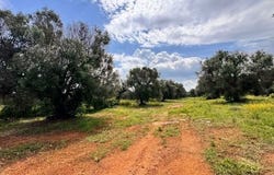 Carovigno, Apulia 72012