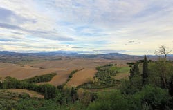 Lajatico, Tuscany 56030