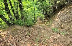 Roccastrada, Tuscany 58036