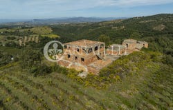 Scansano, Tuscany 58054