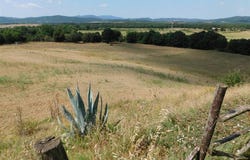 Grosseto, Tuscany 58100