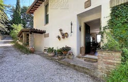 Urbino, Marche 61029