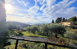 Marliana, Tuscany 51010