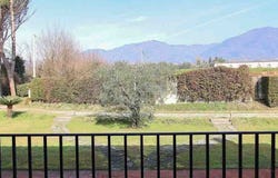 Lucca, Tuscany 55100