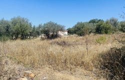 Budoni, Sardinia 08020
