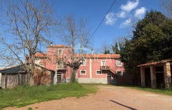 Fauglia, Tuscany 56043