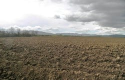 Grosseto, Tuscany 58100
