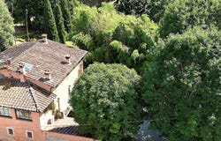 Lucca, Tuscany 55100