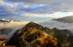 Pescia, Tuscany 51017