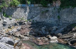 Recco, Liguria 16036