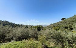 Vinci, Tuscany 50059