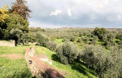 Lamporecchio, Tuscany 51035
