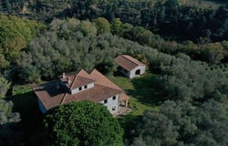 Palaia, Toscana|Tuscany 56036