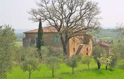 Siena, Tuscany 53100
