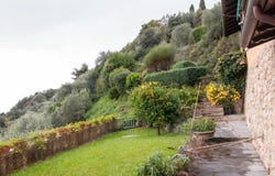 Camaiore, Tuscany 55041