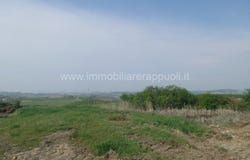 Rapolano Terme, Tuscany 53040