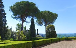 San Gimignano, Tuscany 53037