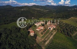 Gaiole in Chianti, Tuscany 53013