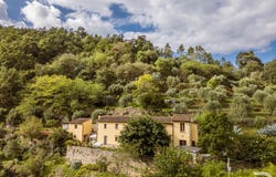 Lamporecchio, Lamporecchio, Tuscany 51035
