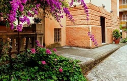 Rome, Lazio 00182