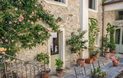 Gonte, The Piedmont 28824