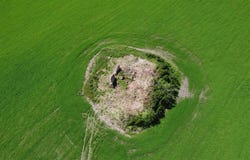 Lajatico, Tuscany 56030